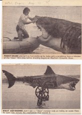 Two of the clippings from my copy of The Jaws Log. I found them in the National Enquirer's August 12, 1975 issue.